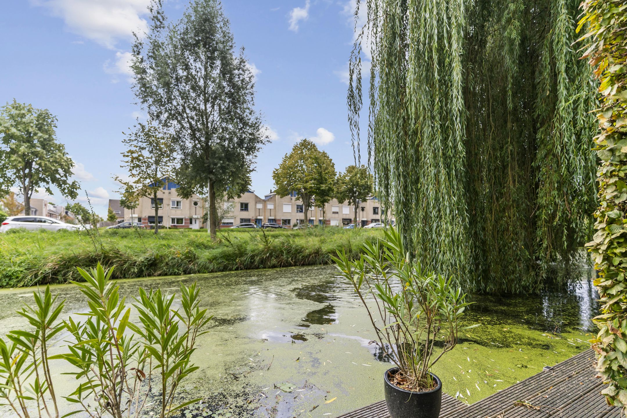 Photo 57 of Staartmolen 1