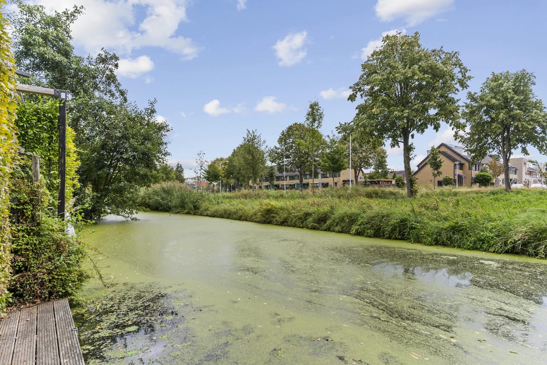 Photo 58 of Staartmolen 1