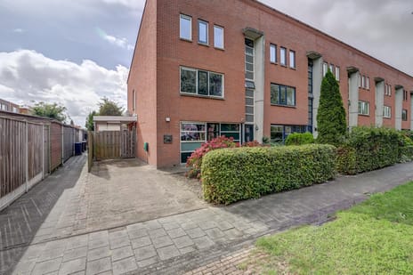 undefined main image