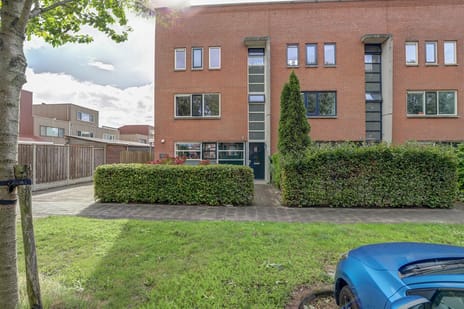 undefined main image