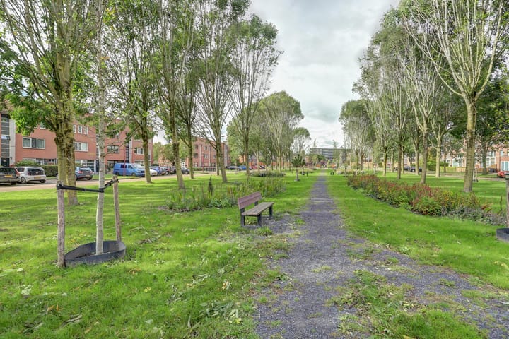 Foto 6 van Baronie 1