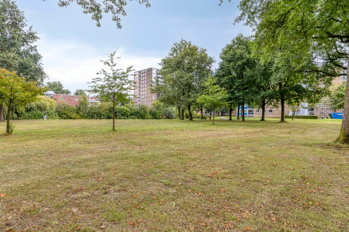 Foto 30 van Münsterstraat 6