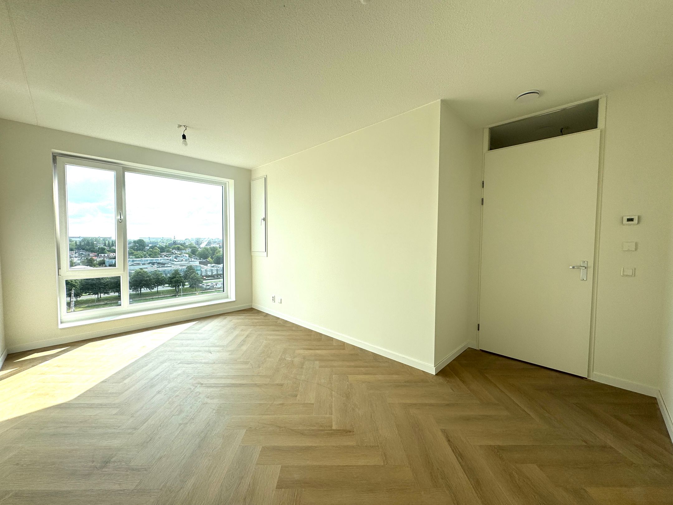 Foto 9 van Mahoniehout 453