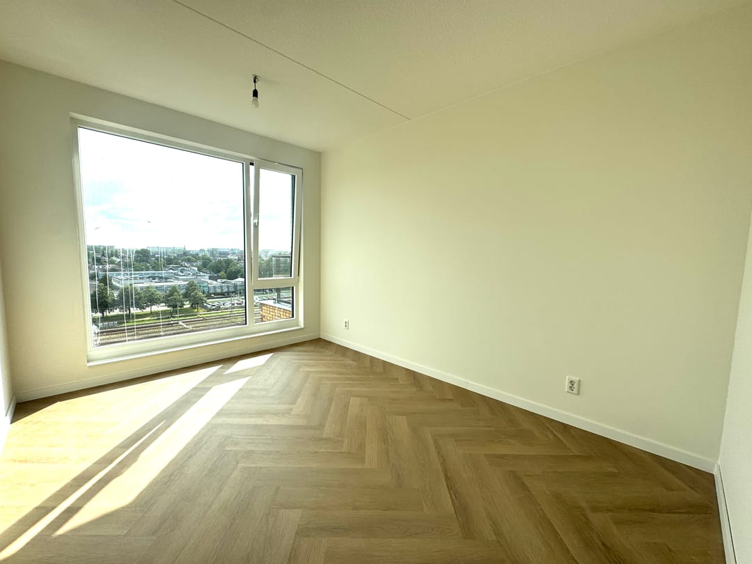 Foto 8 van Mahoniehout 453