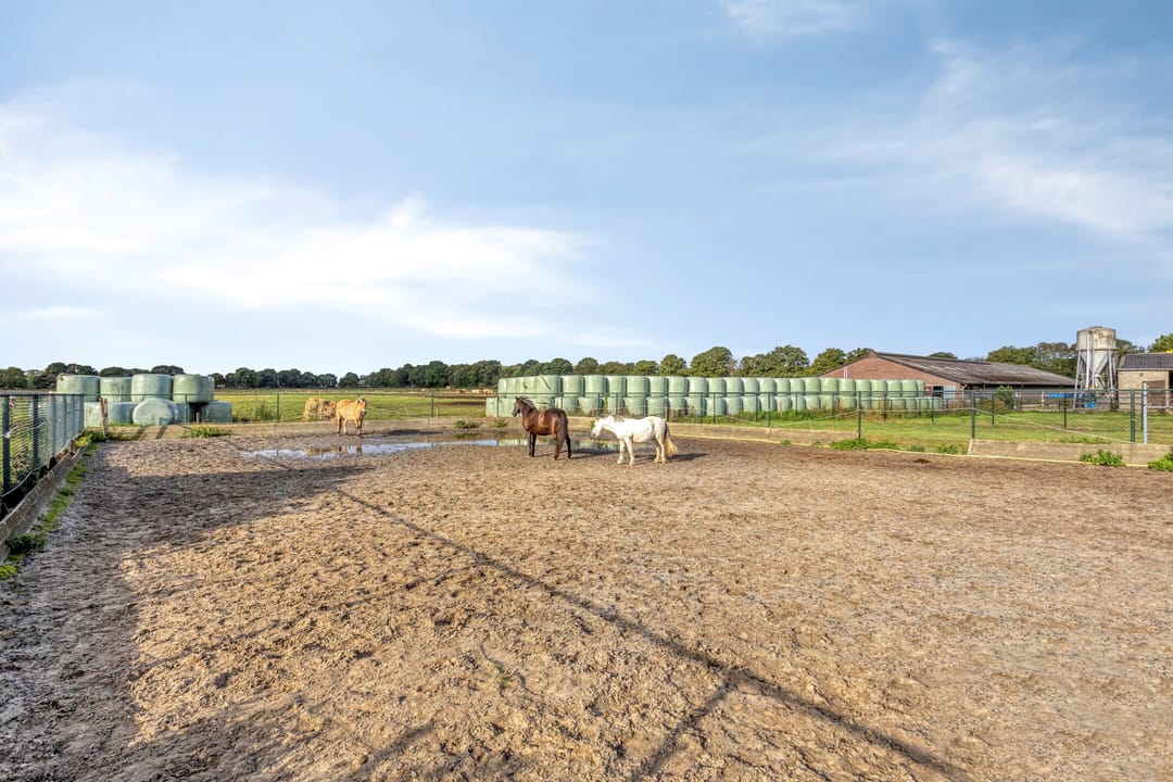 Foto 31 van Pepinusbrug 24-A