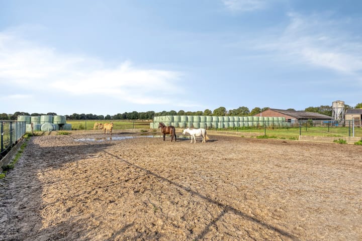 Foto 31 van Pepinusbrug 24-A