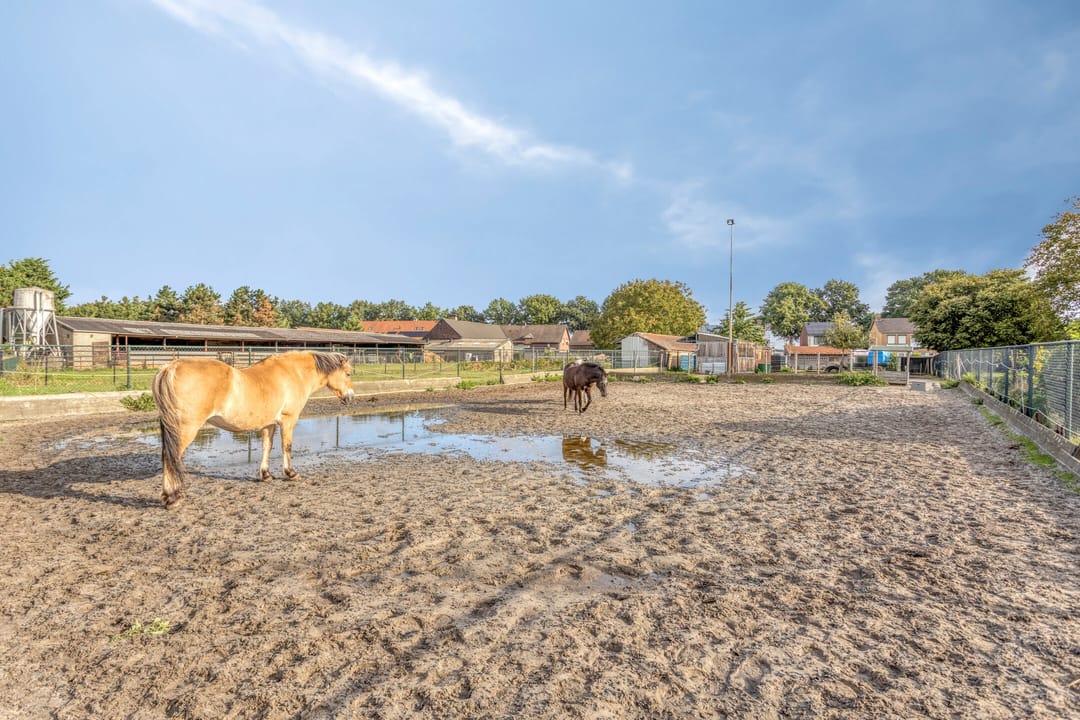 Foto 32 van Pepinusbrug 24-A