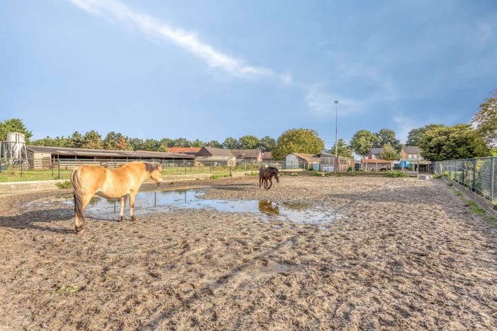 Foto 32 van Pepinusbrug 24-A