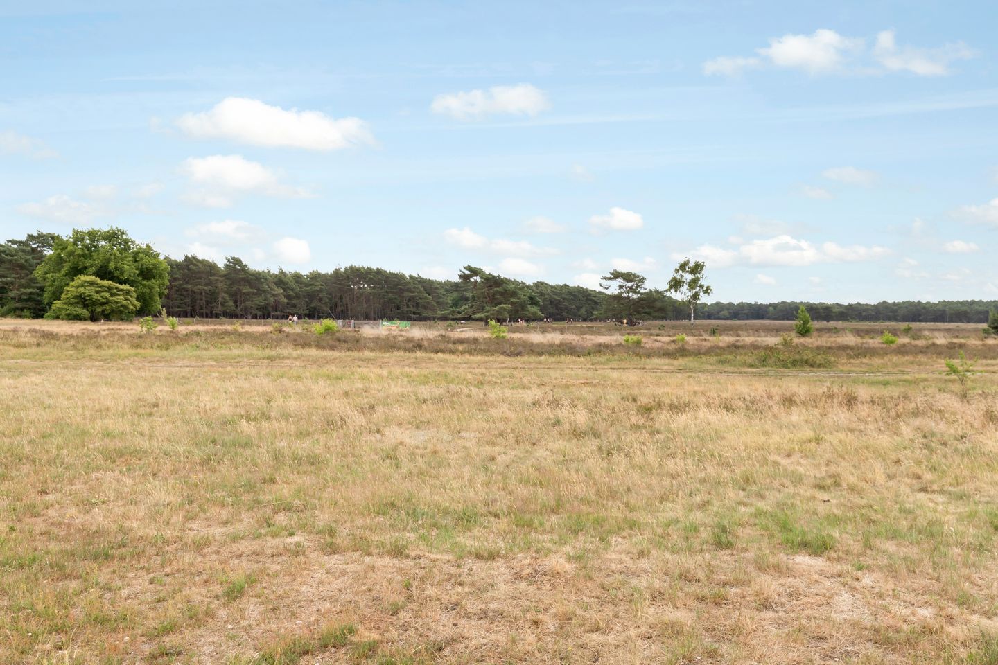 Foto 44 van Anne Franklaan 76