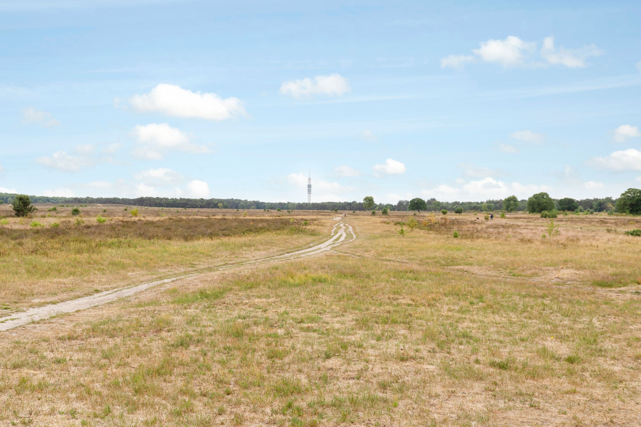 Foto 45 van Anne Franklaan 76