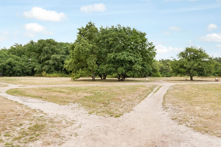 Foto 46 van Anne Franklaan 76