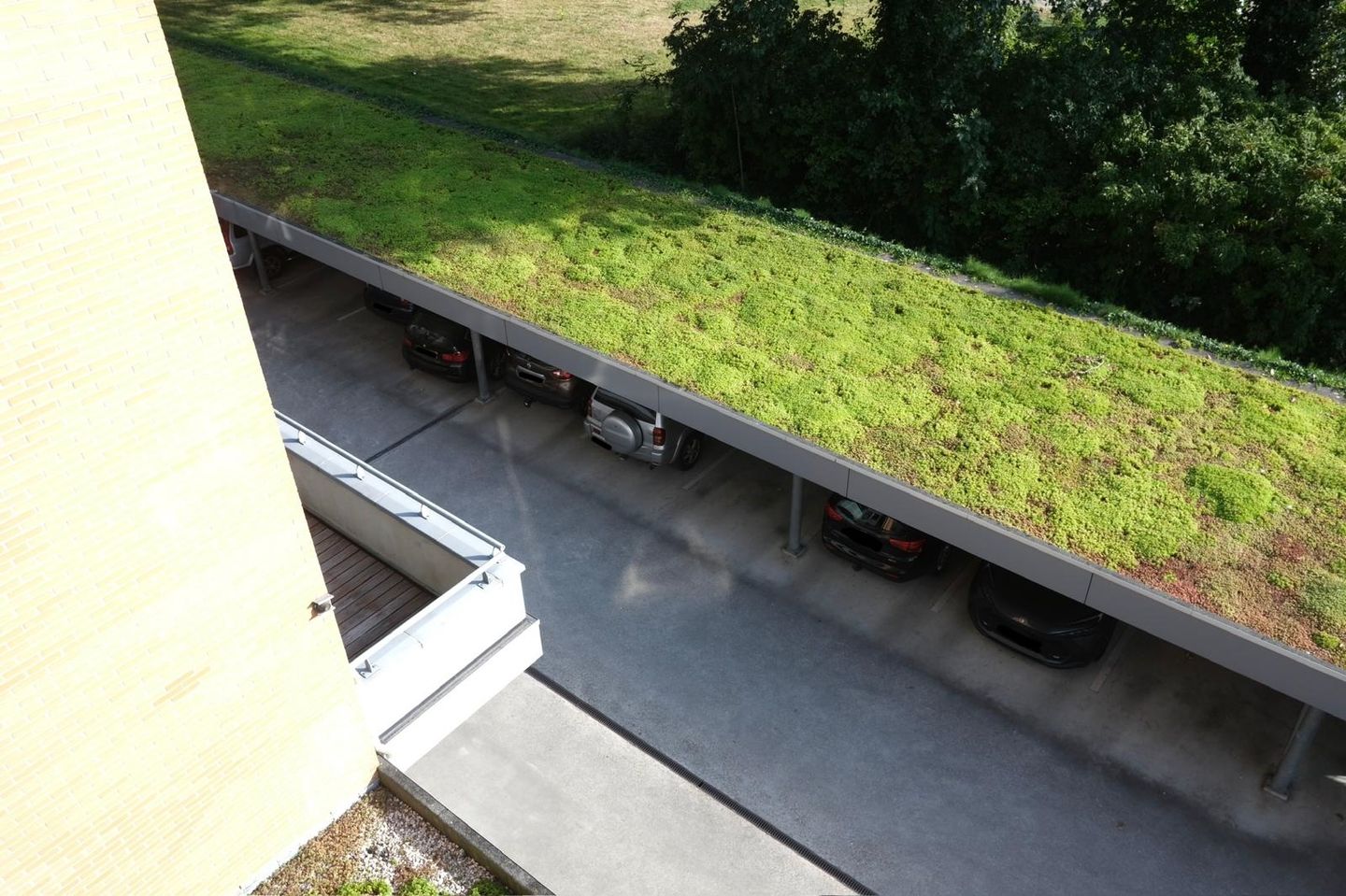 Foto 50 van Dokter Van Ledestraat 50