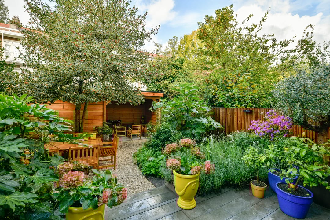 Foto 11 van Woestduinstraat 46-H