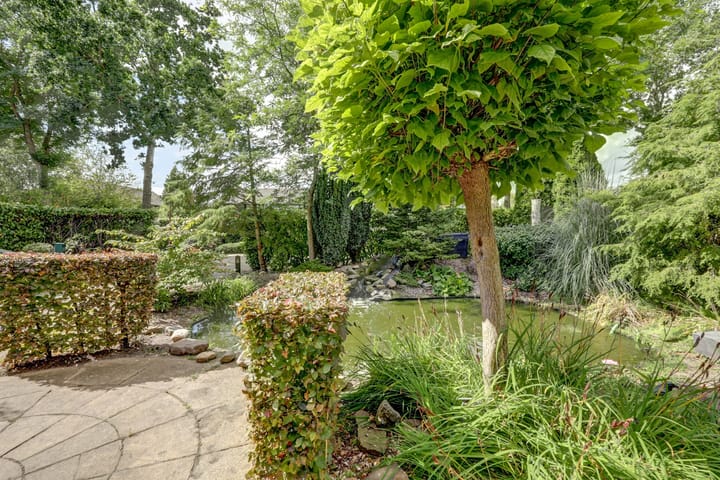 Foto 47 van Hollandse Hout 304