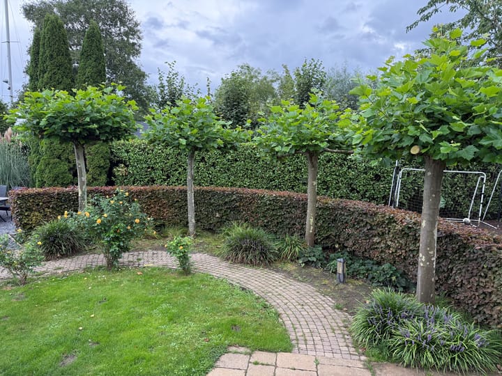 Foto 54 van Hollandse Hout 304