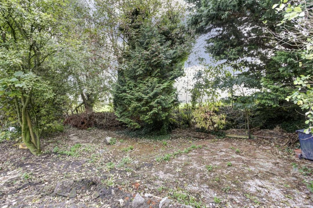 Photo 28 of Walingsdijk 97