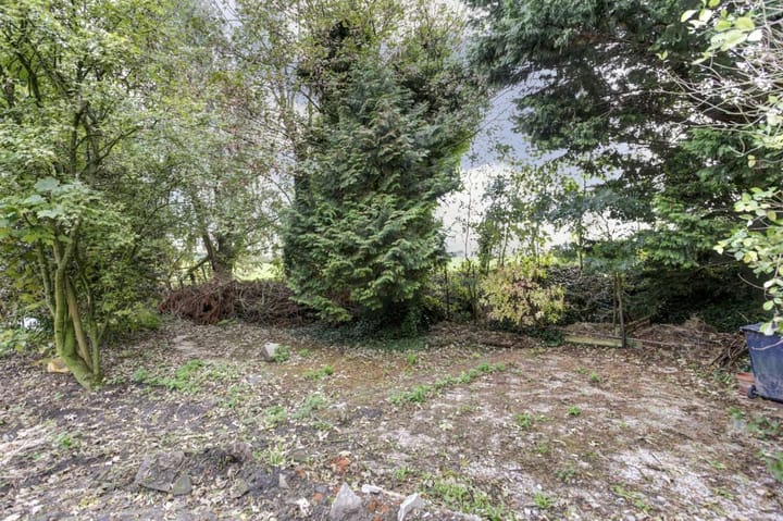 Photo 28 of Walingsdijk 97