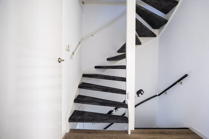 Foto 38 van Aurora 32