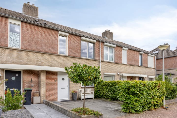 Foto 1 van Mattenbies 12