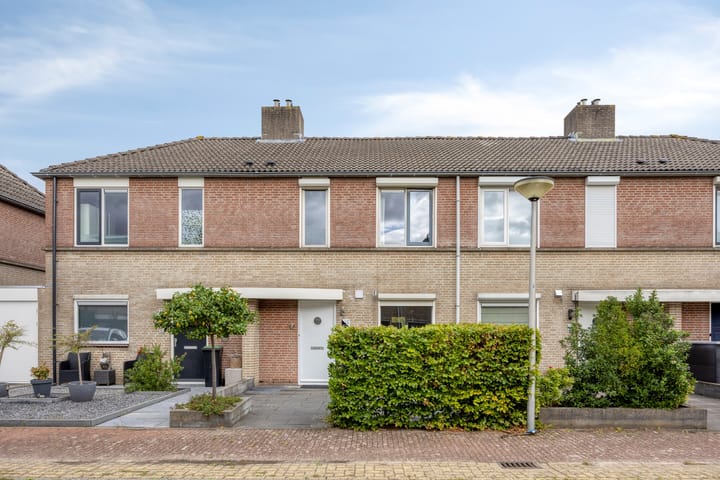 Foto 6 van Mattenbies 12