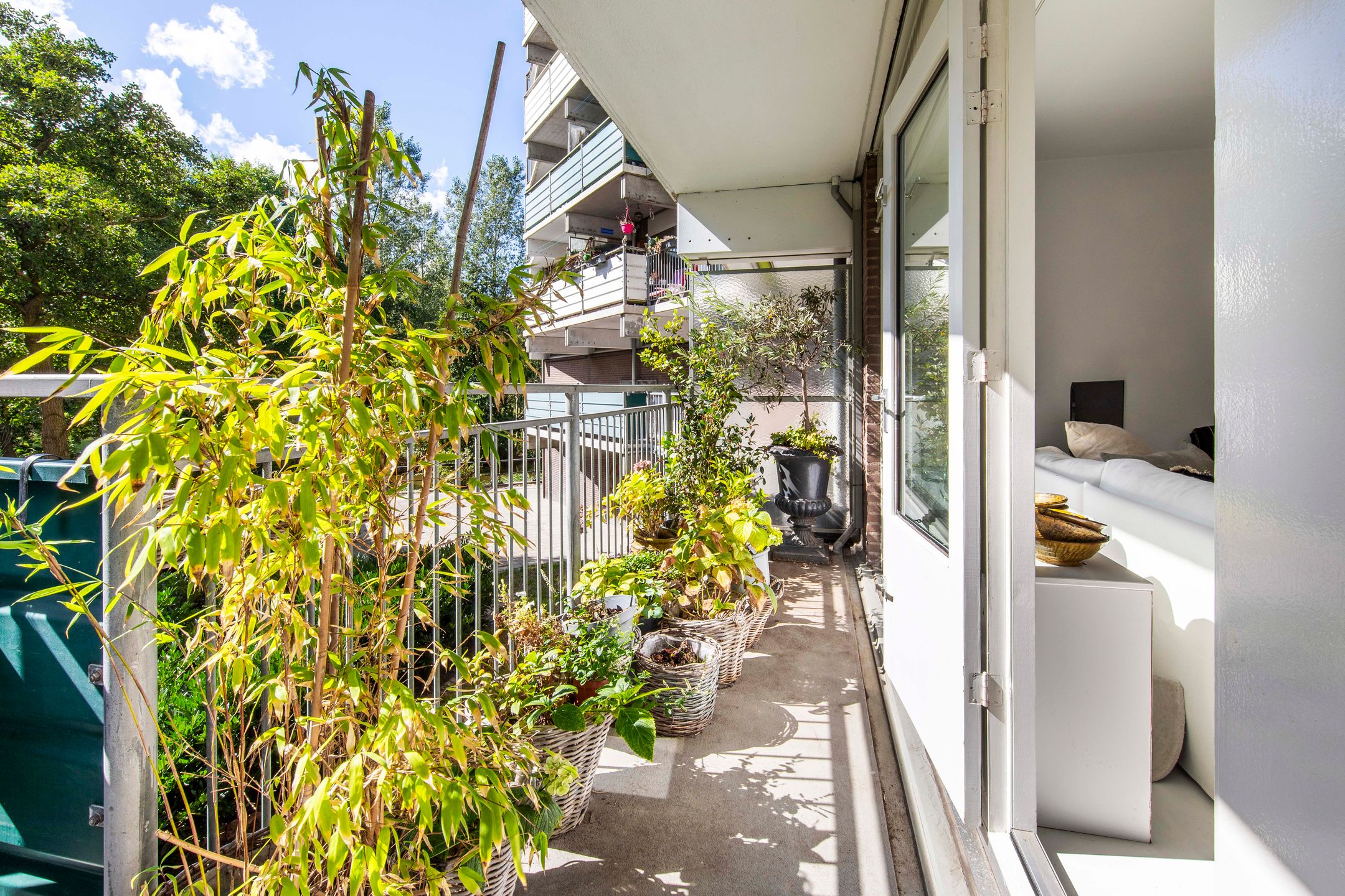 Foto 21 van Loenermark 84