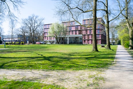 undefined main image