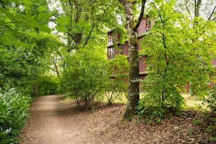 Foto 2 van Sterkenburg 53-17