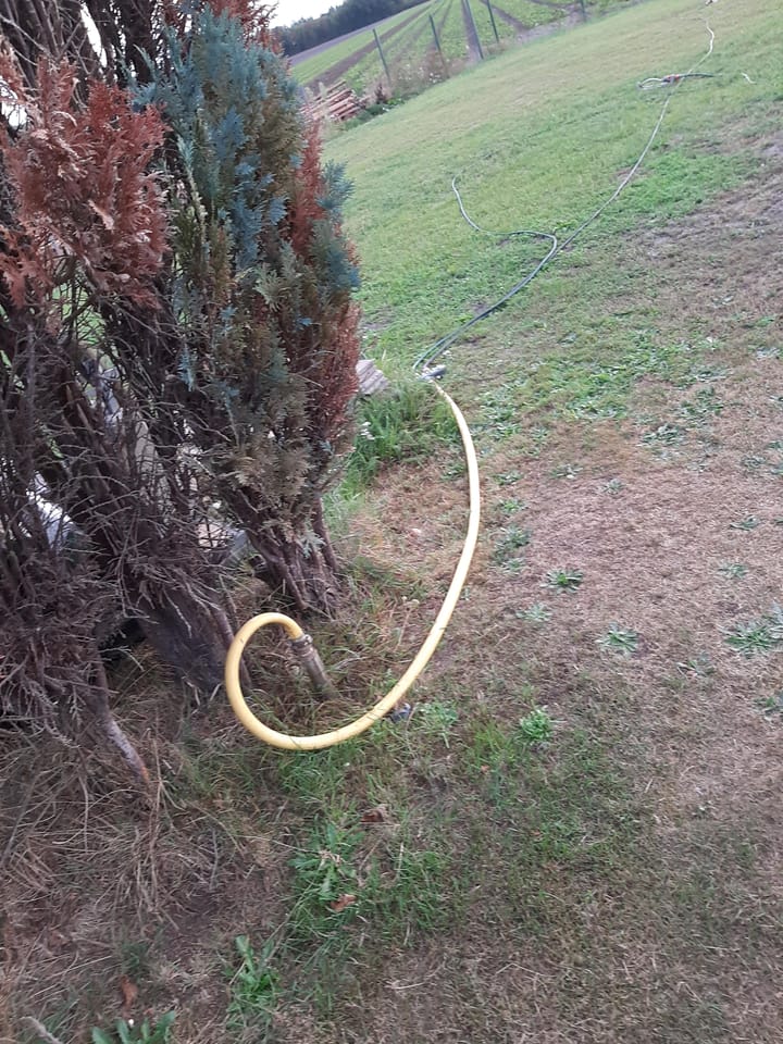 Foto 73 van Hoogeindseweg 26