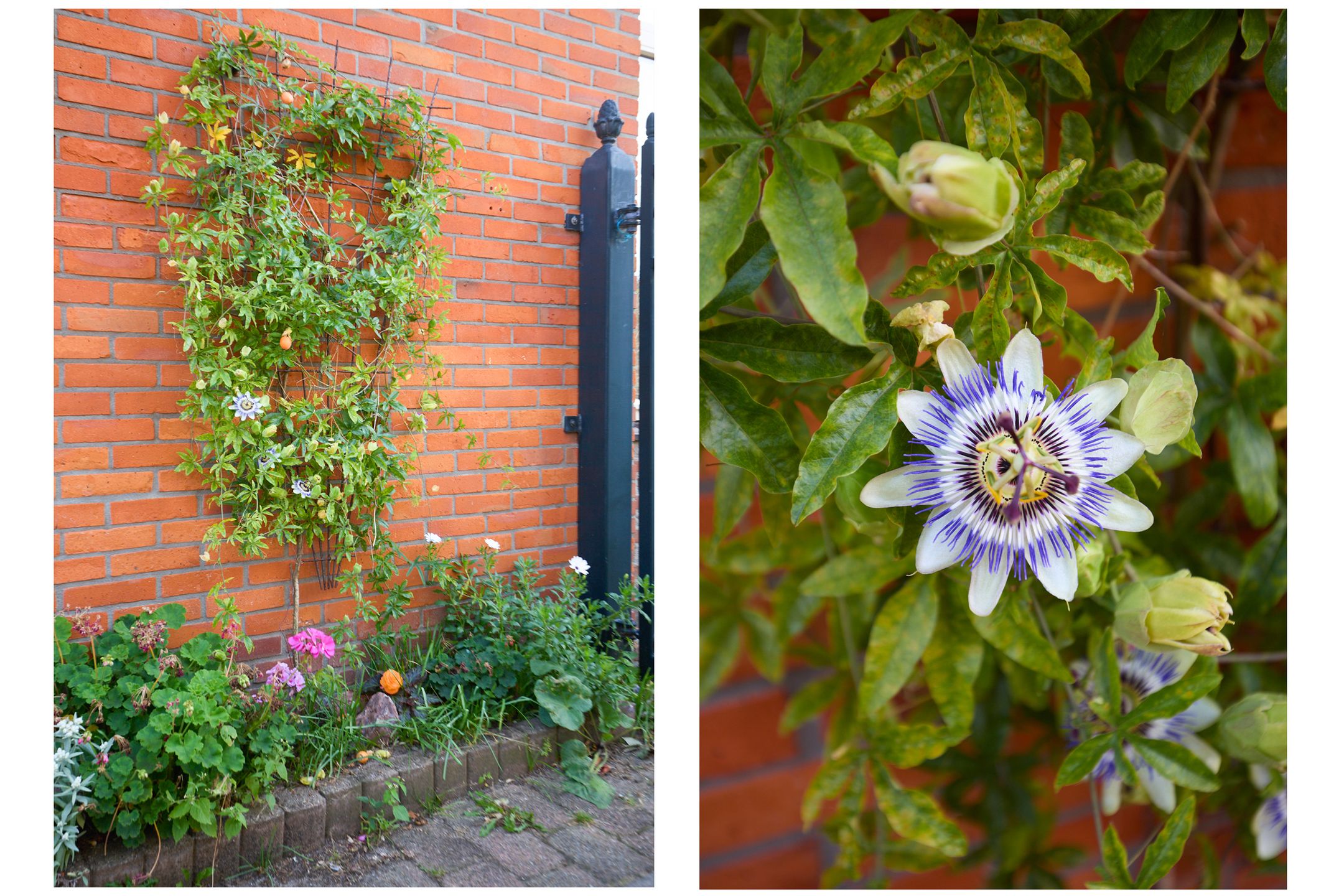 Foto 9 van Mgr. Broerestraat 2-A