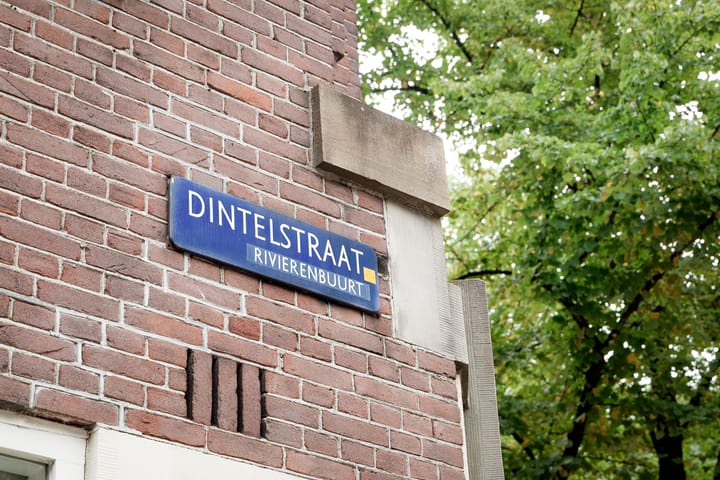 Foto 7 van Dintelstraat 55-H