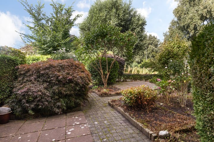 Foto 3 van Kamgras 109