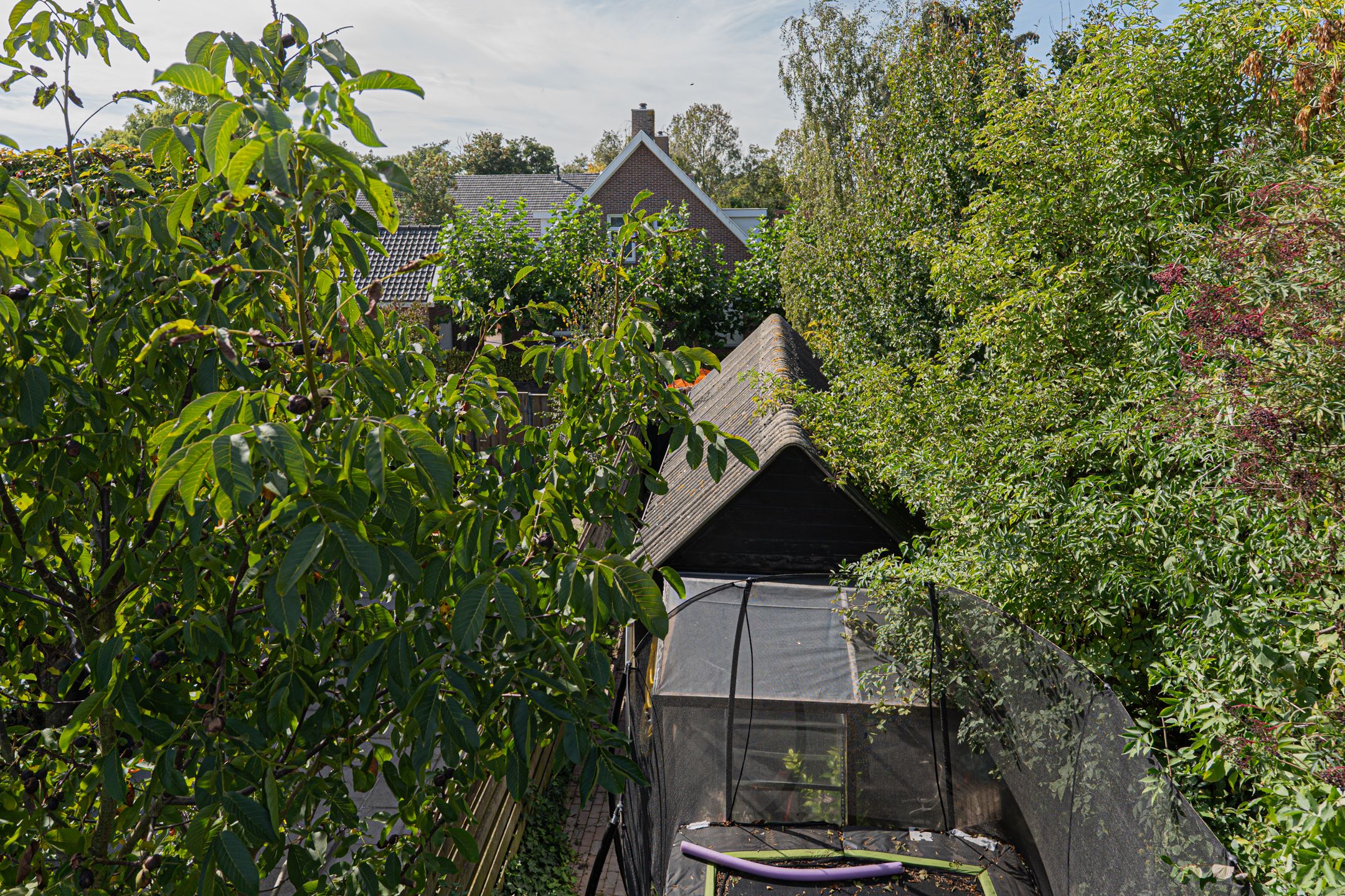 Foto 90 van van Tilburghstraat 18