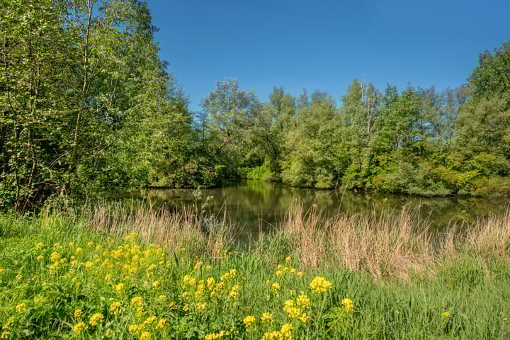 Foto 45 van Turfberg 27