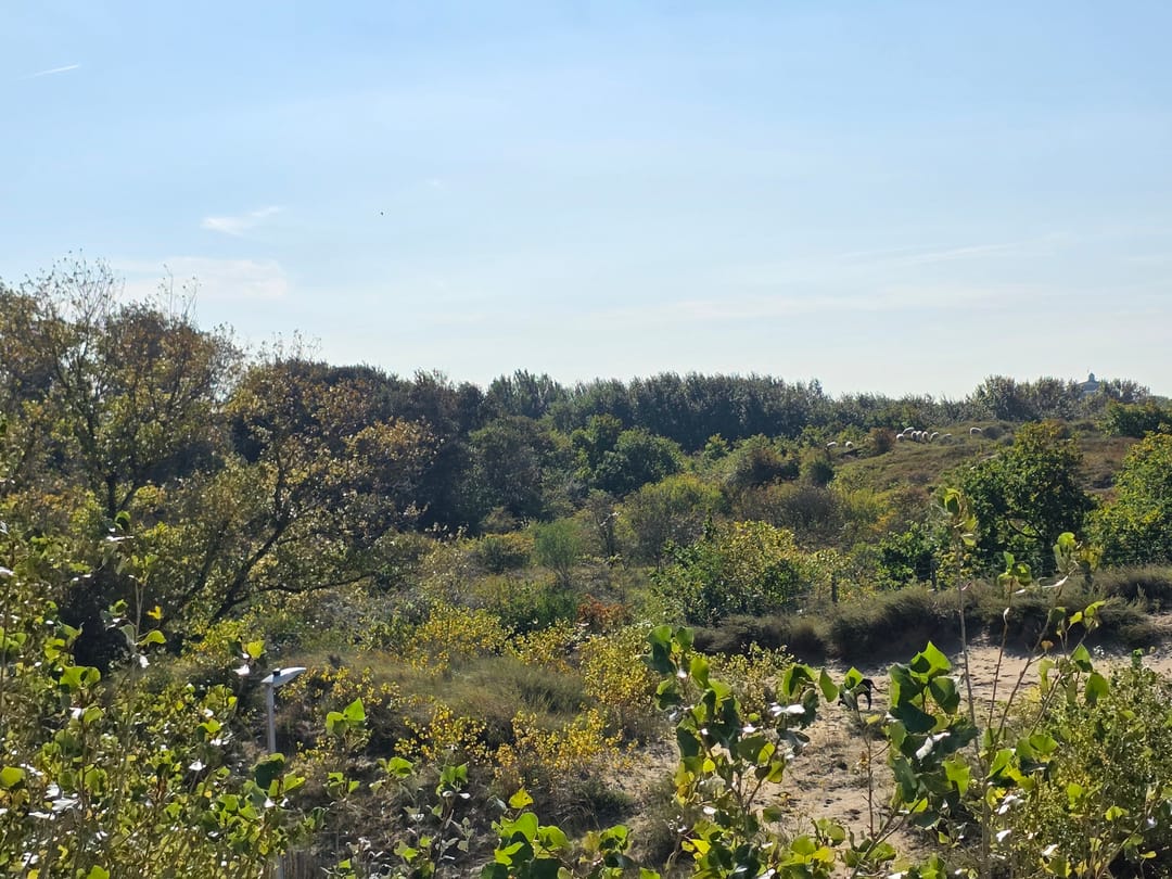 Foto 23 van Nachtegaallaan 81