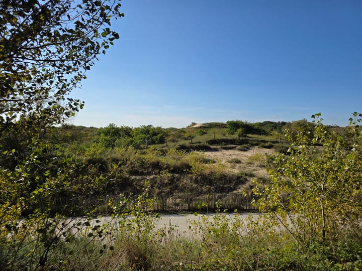 Foto 24 van Nachtegaallaan 81