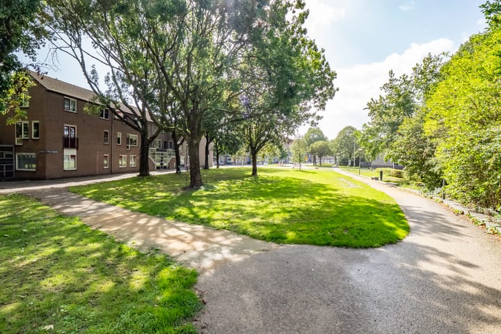 Foto 37 van Jan van Ransdorpstraat 10-C