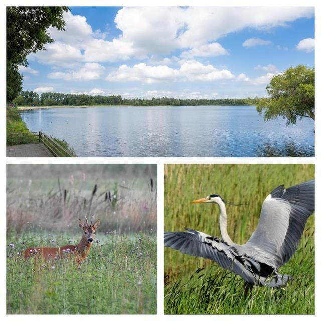 Foto 47 van Grote Dijk 10