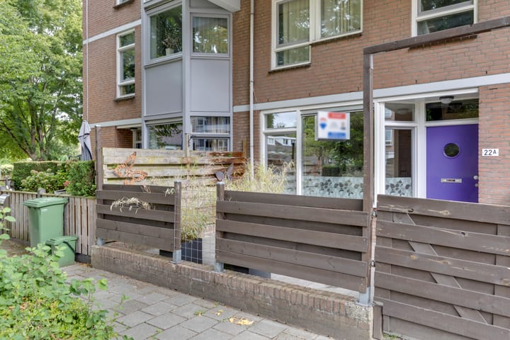 Roserije 22-A main image