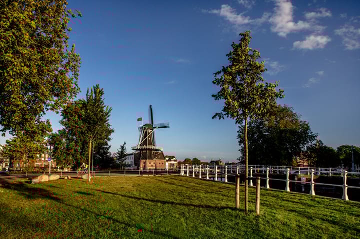 Foto 17 van Papentorenvest 32