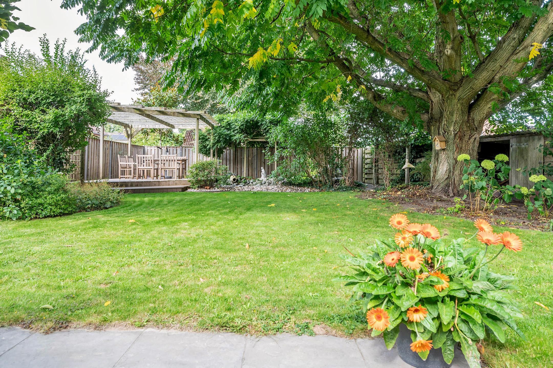 Foto 6 van Dionisiusstraat 15