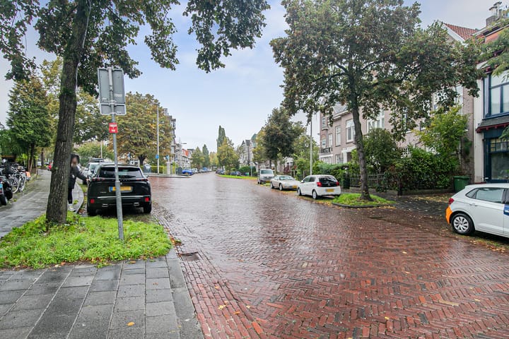 Foto 50 van Sweerts de Landasstraat 69-2