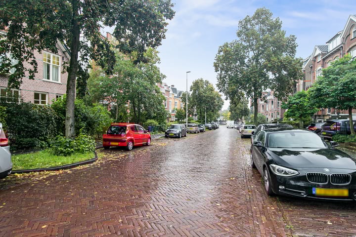 Foto 51 van Sweerts de Landasstraat 69-2