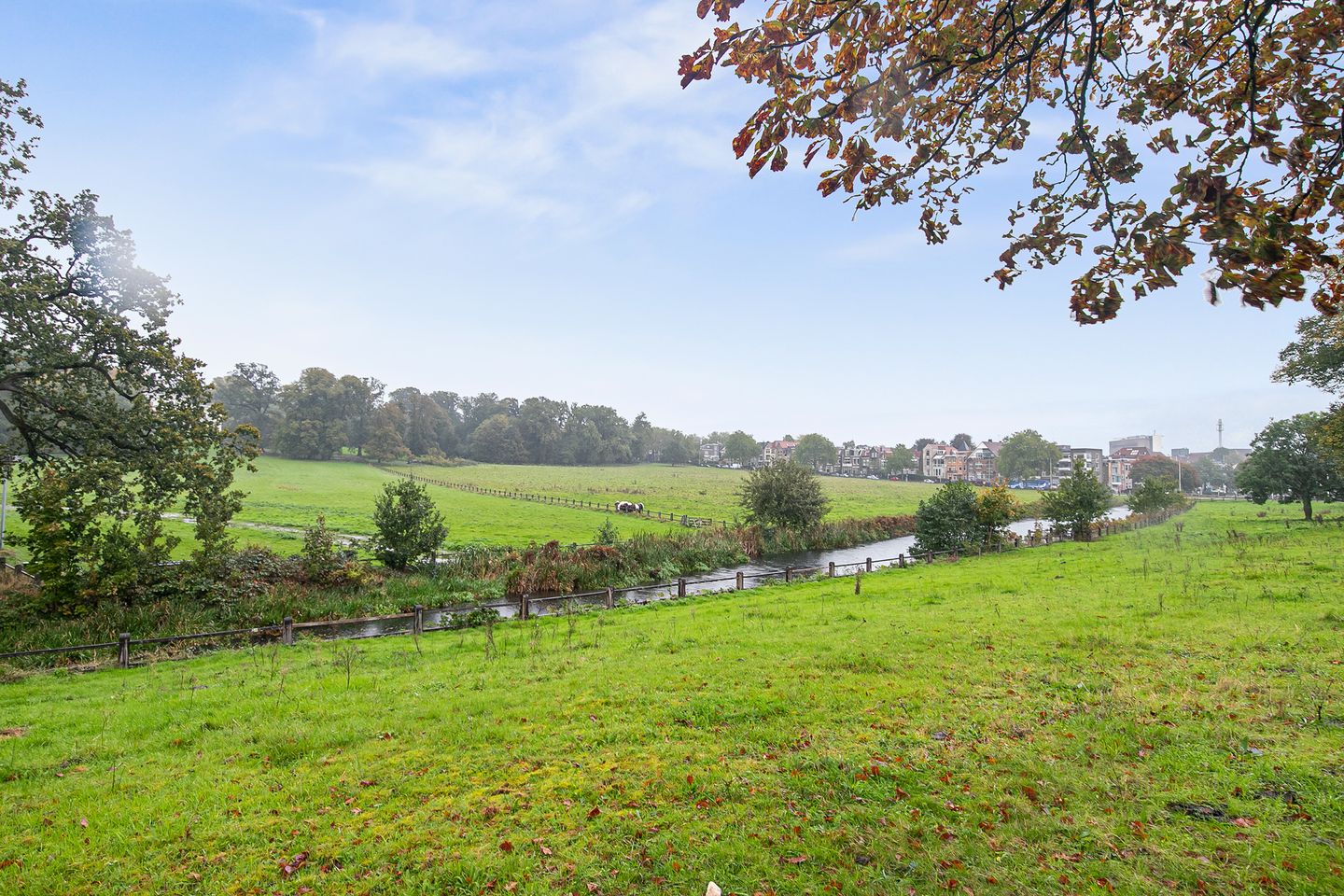 Photo 55 of Sweerts de Landasstraat 69-2