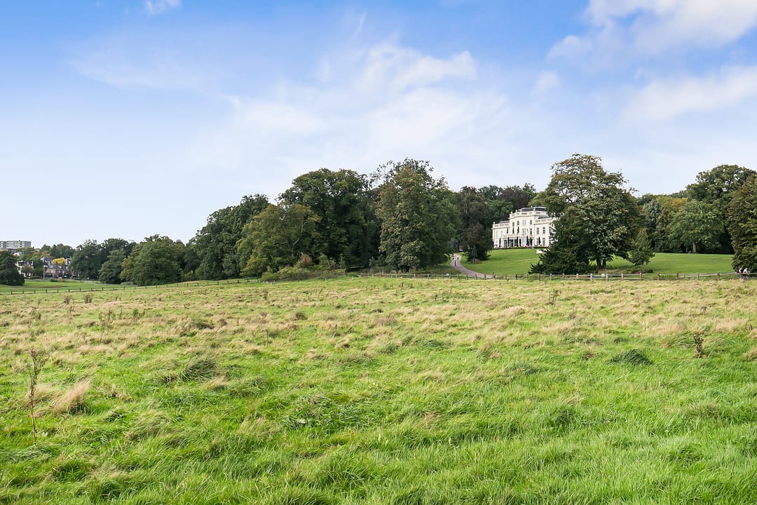 Photo 61 of Sweerts de Landasstraat 69-2