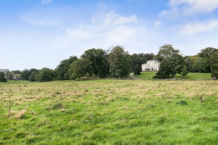 Foto 61 van Sweerts de Landasstraat 69-2