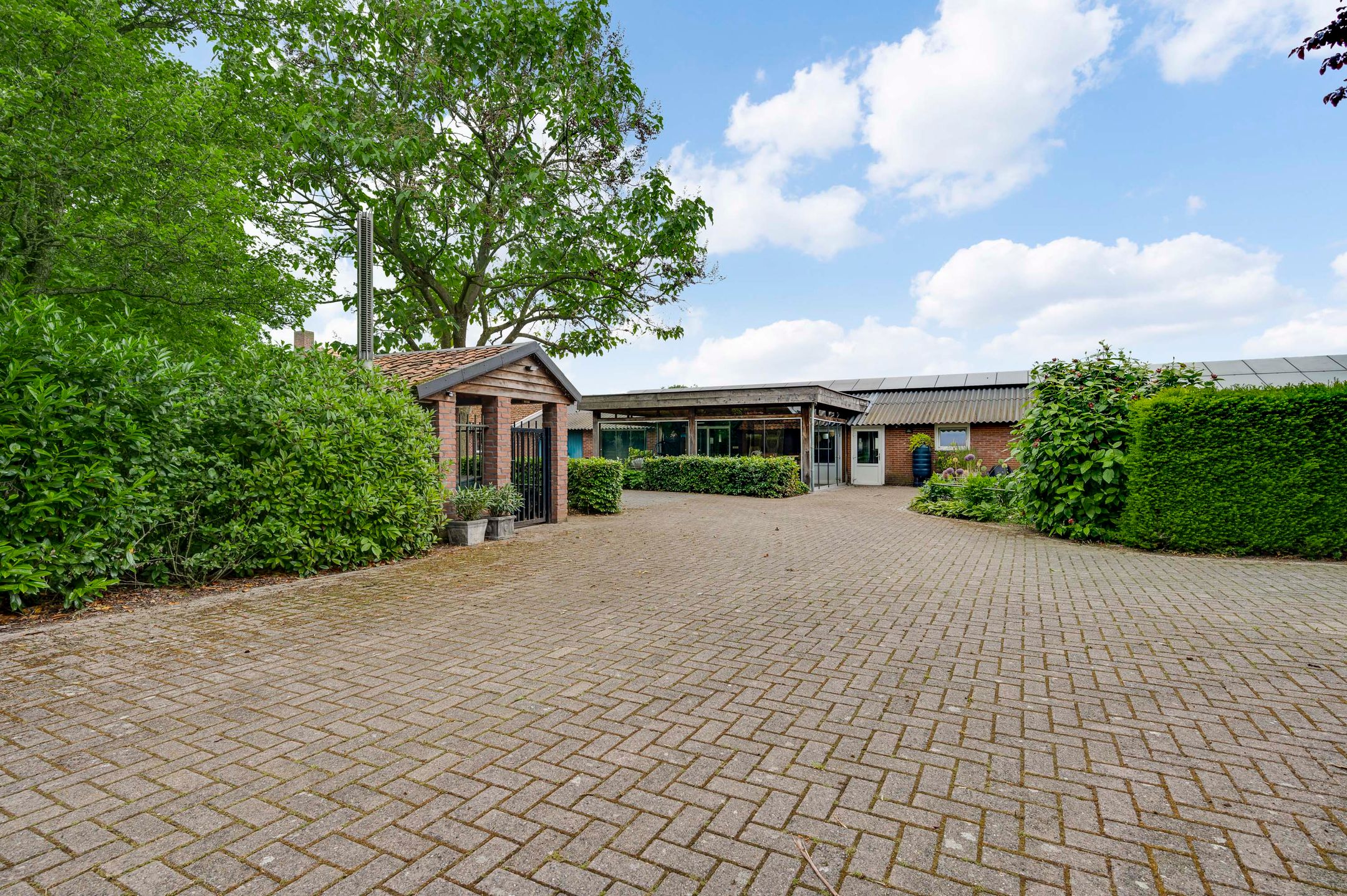 Photo 63 of Heide 17