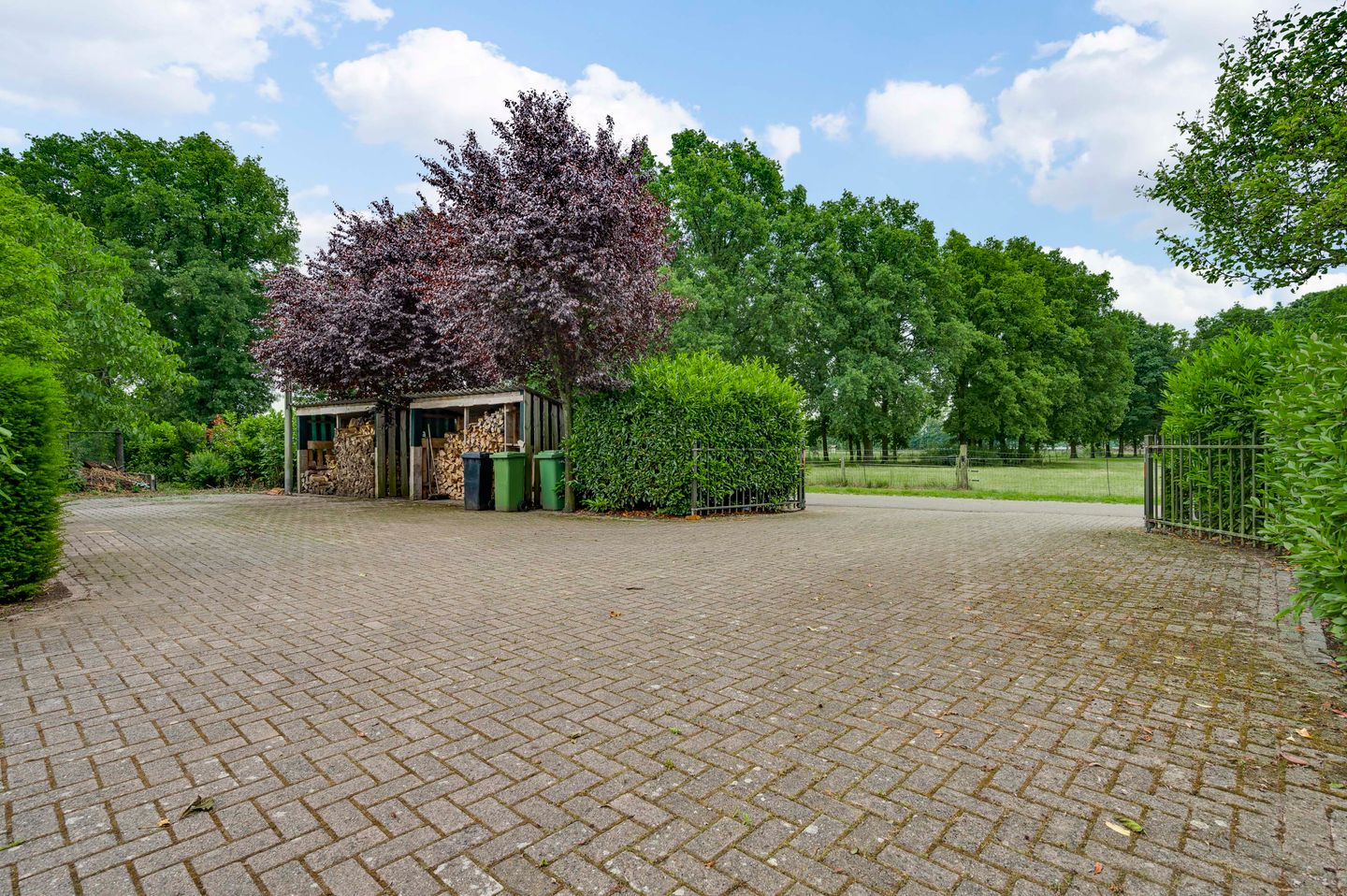 Photo 64 of Heide 17