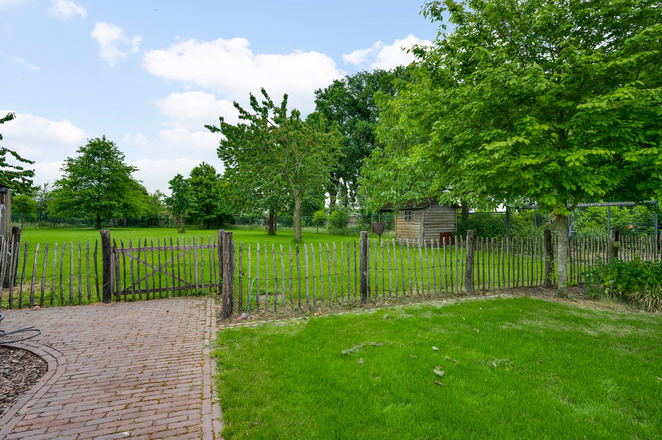 Photo 66 of Heide 17