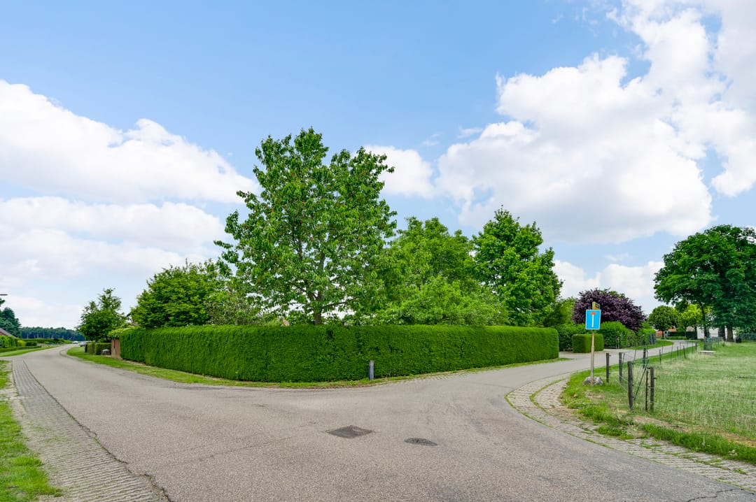 Photo 77 of Heide 17