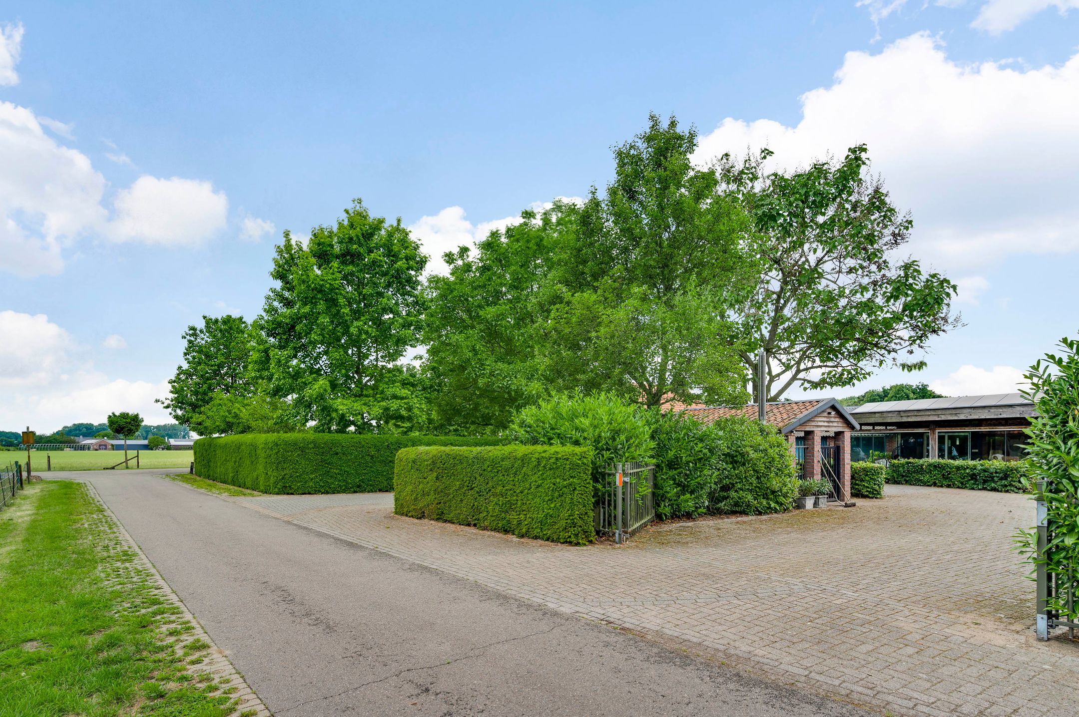 Photo 78 of Heide 17